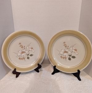 Stoneware Dinner Plates (2).  Impressions By Daniele, Country Day Pattern